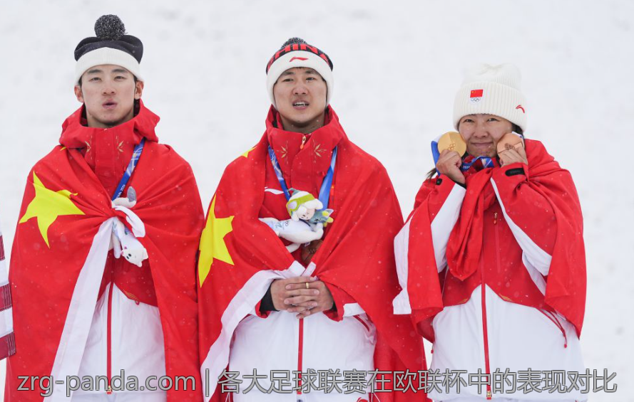 各大足球联赛在欧联杯中的表现对比