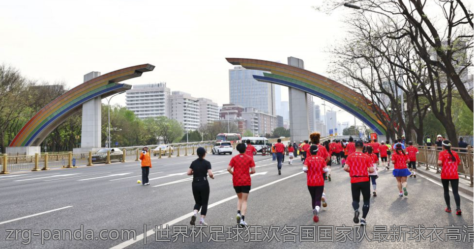 世界杯足球狂欢各国国家队最新球衣高清大图一览